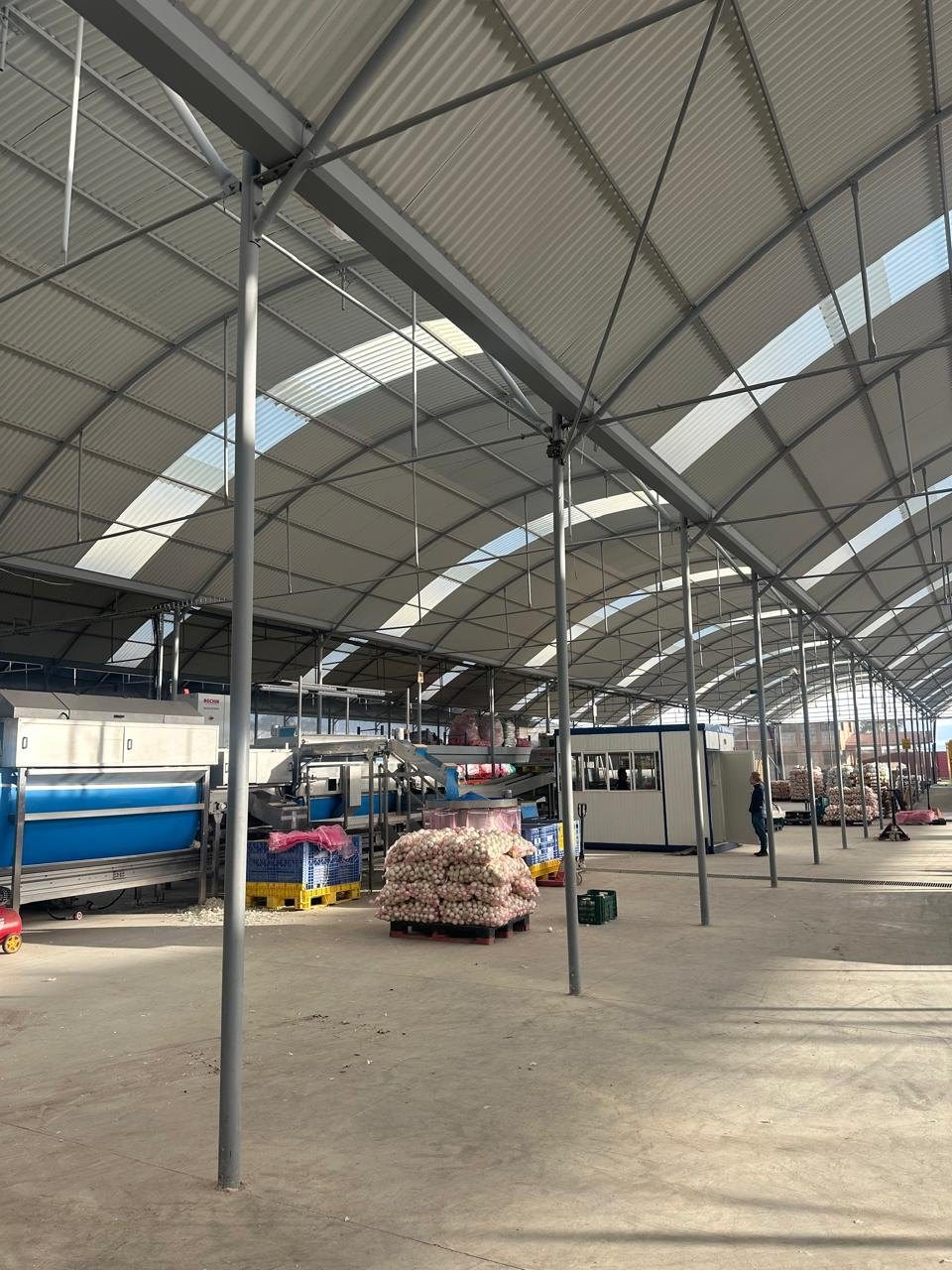 Interior of the onion packing facility in Querétaro